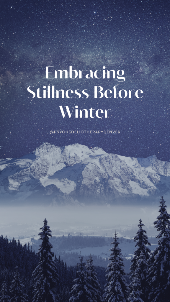 Embracing Stillness Before Winter