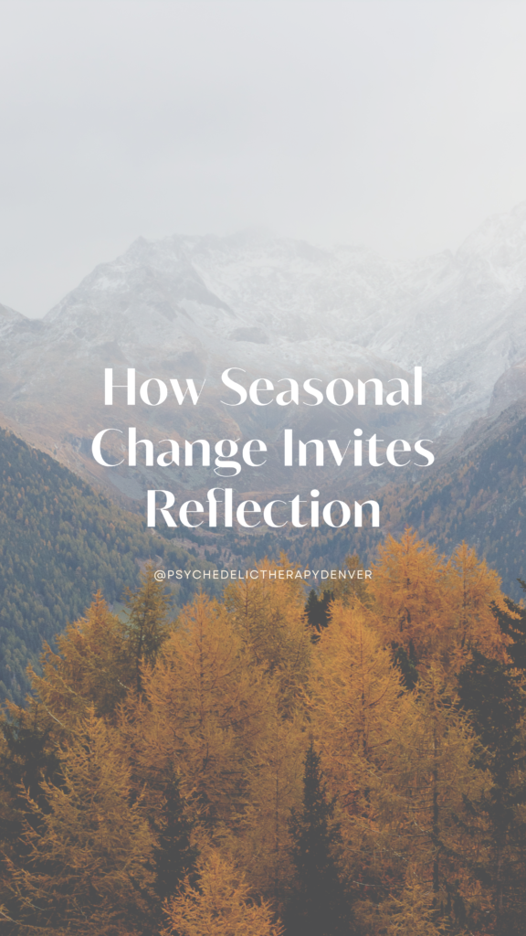 How Seasonal Change Invites Reflection