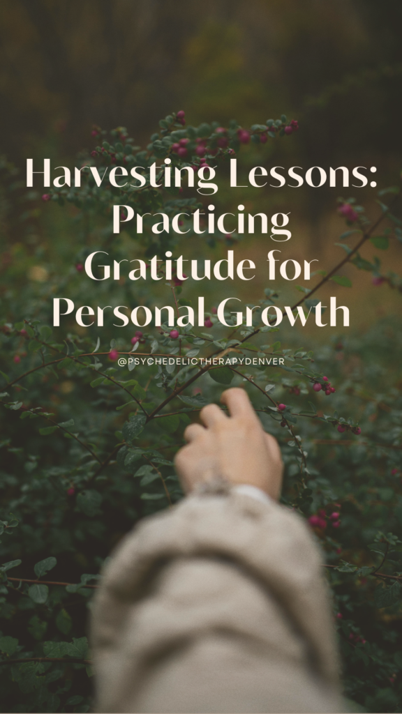 Harvesting Lessons: Practicing Gratitude for Personal Growth