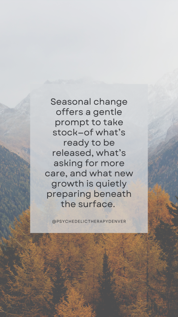 Seasonal change offers a gentle prompt to take stock—of what’s ready to be released, what’s asking for more care, and what new growth is quietly preparing beneath the surface. 