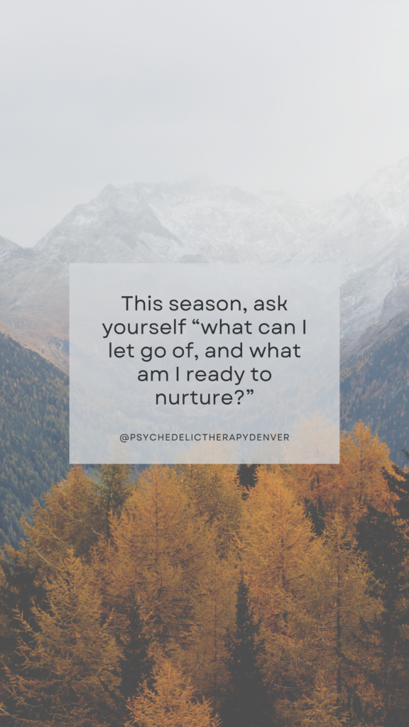 This season, ask yourself “what can I let go of, and what am I ready to nurture?”
