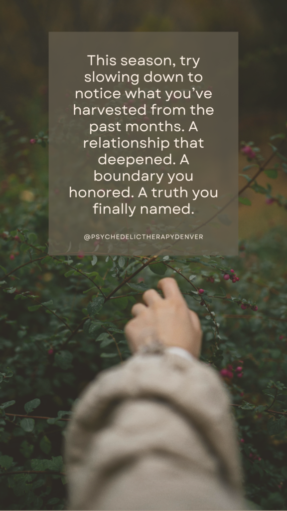 This season, try slowing down to notice what you’ve harvested from the past months. A relationship that deepened. A boundary you honored. A truth you finally named.