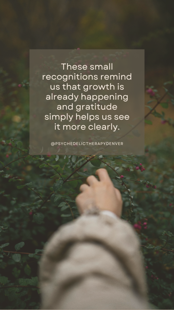 These small recognitions remind us that growth is already happening and gratitude simply helps us see it more clearly.