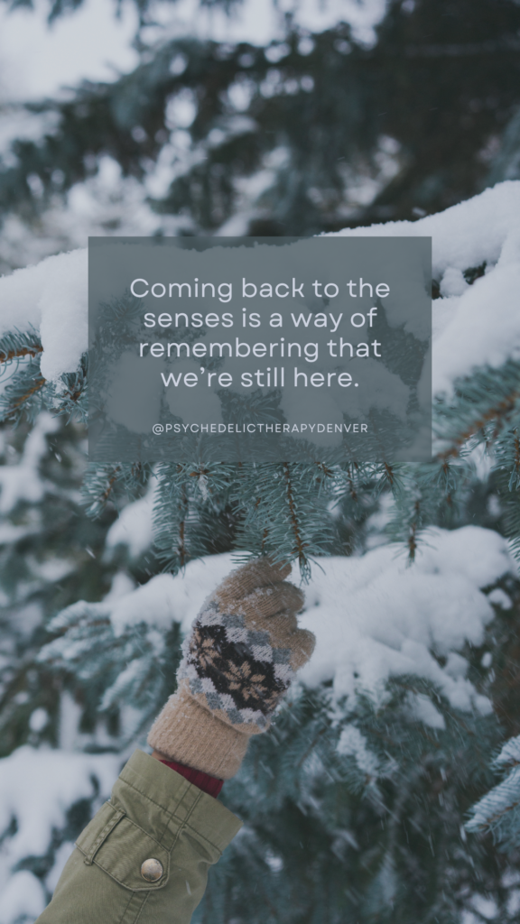 Coming back to the senses is a way of remembering that we’re still here.