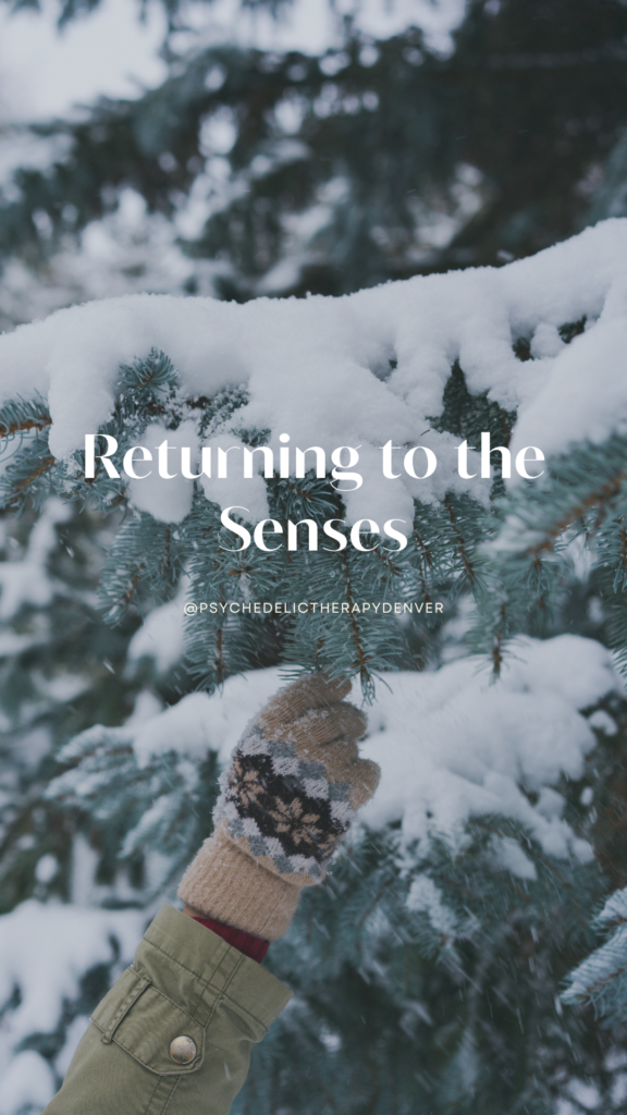 Returning to the Senses