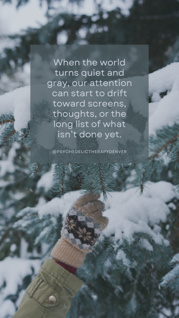 When the world turns quiet and gray, our attention can start to drift toward screens, thoughts, or the long list of what isn’t done yet.
