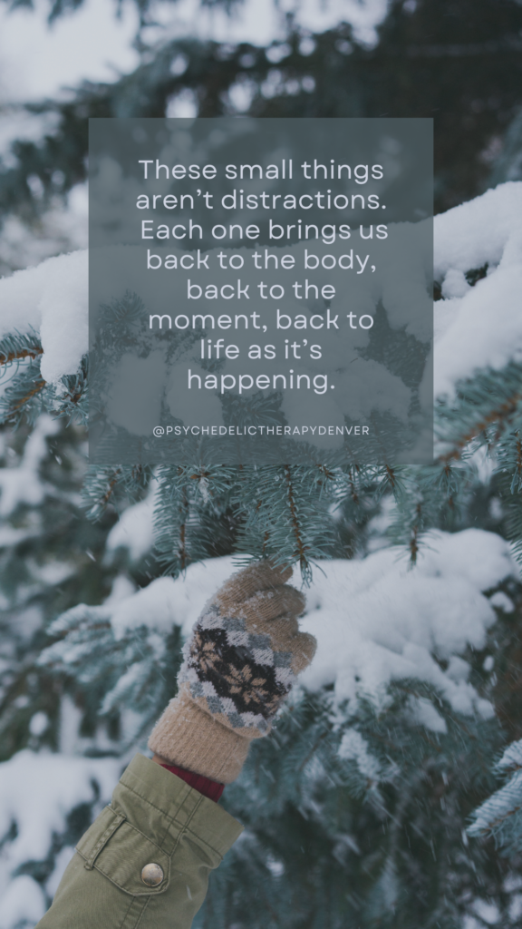 Each one brings us back to the body, back to the moment, back to life as it’s happening.