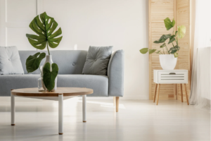 A peaceful therapy space with plants and natural light.