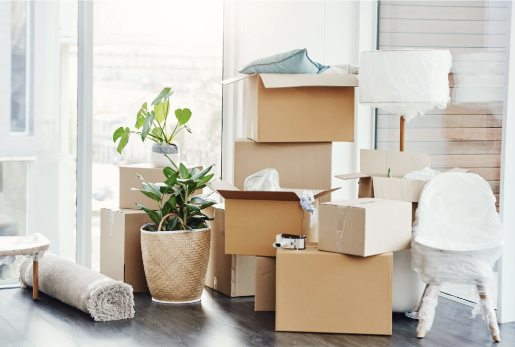 Moving boxes stacked up in a bright room with plants. 