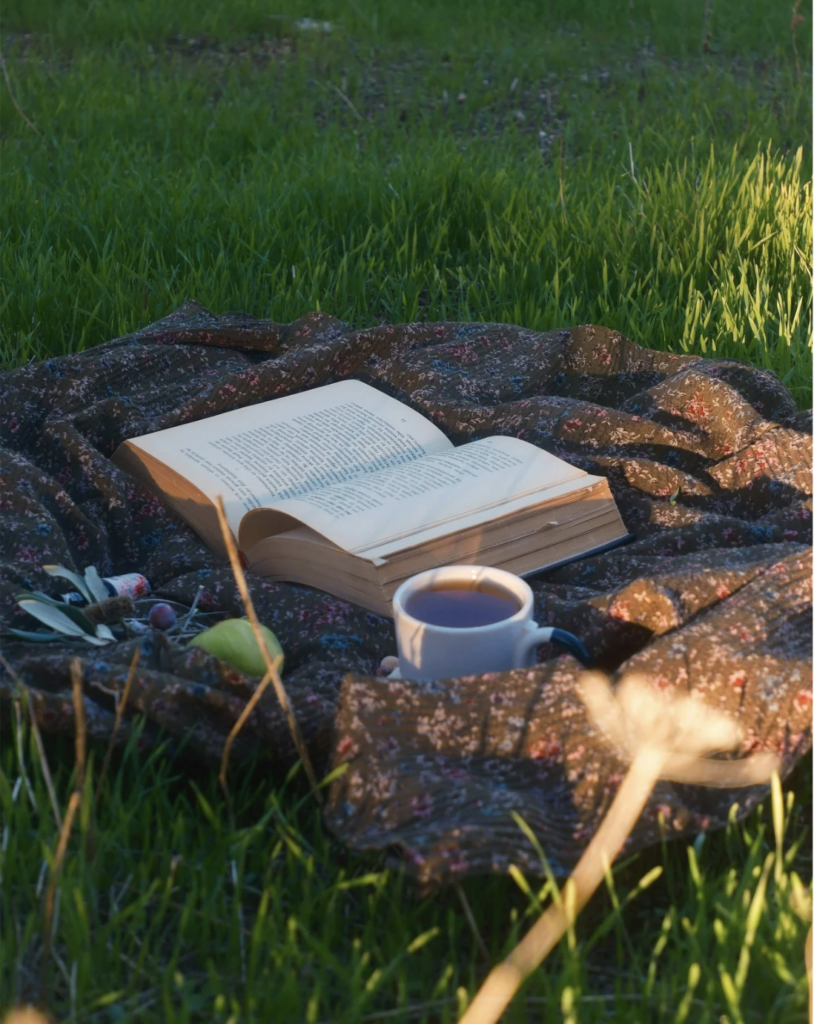 Book and cup of tea on a picnic blanket in the grass