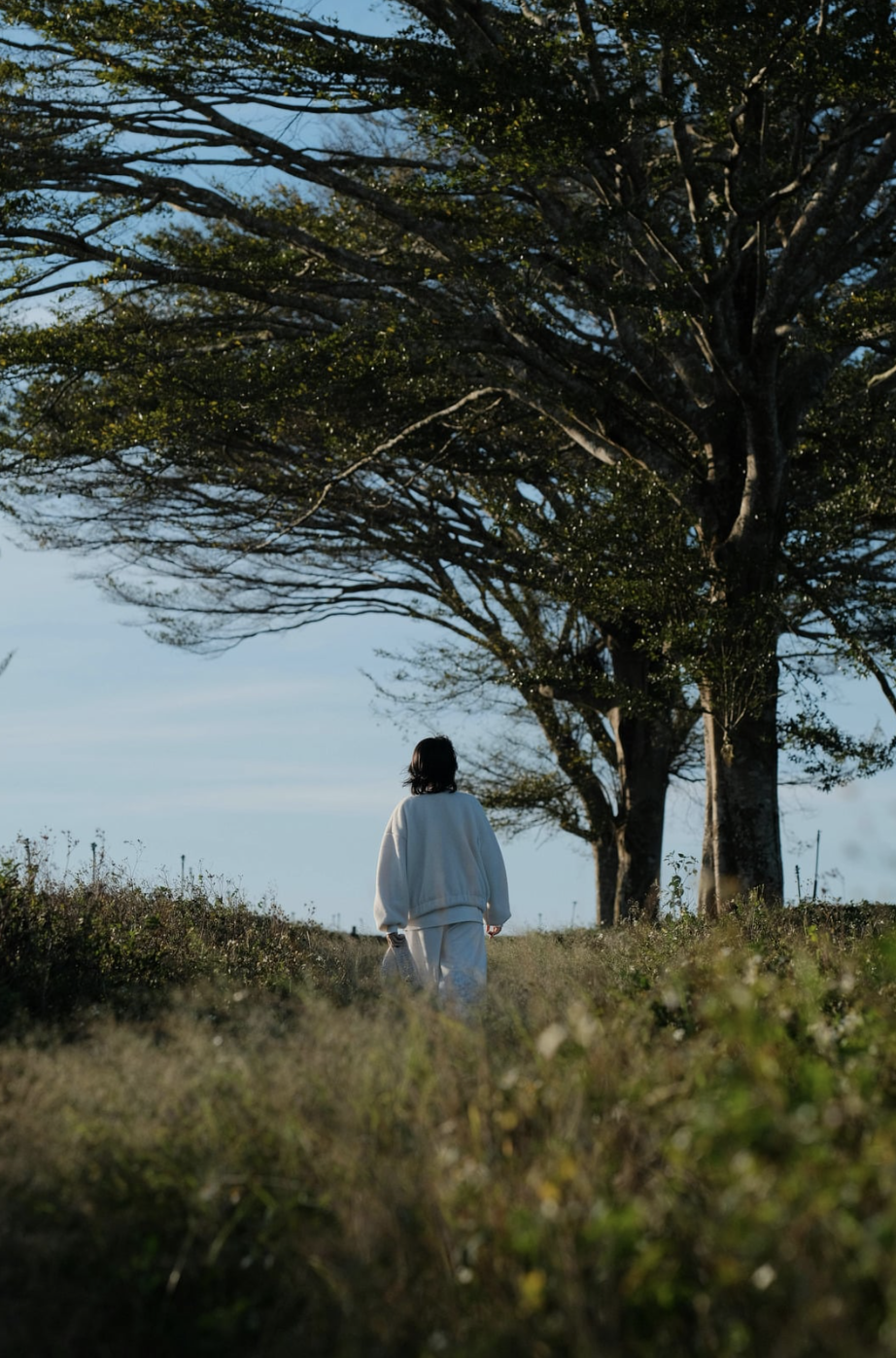 person walking in nature on a mild day
