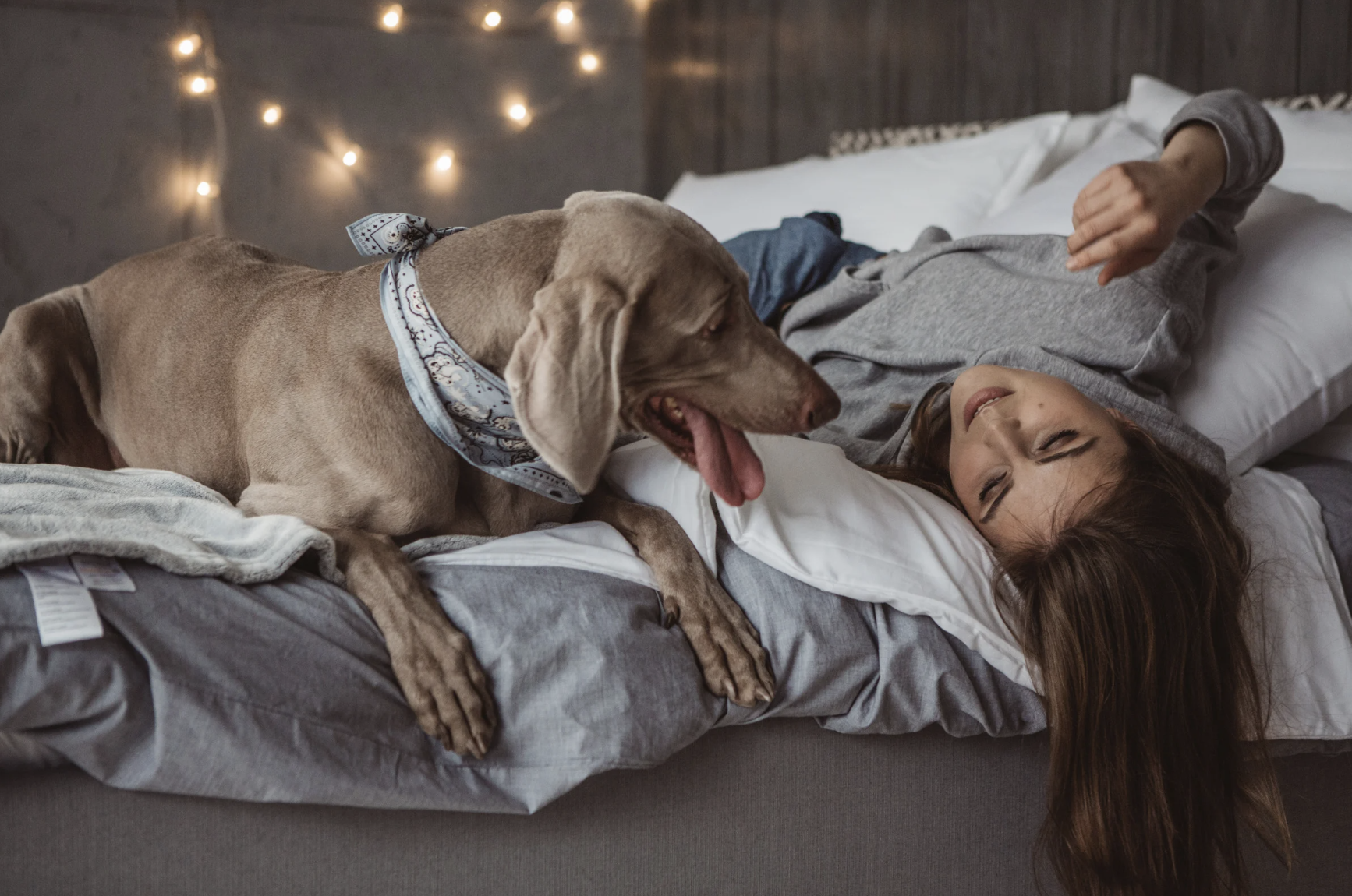 woman laying with her dog in bed