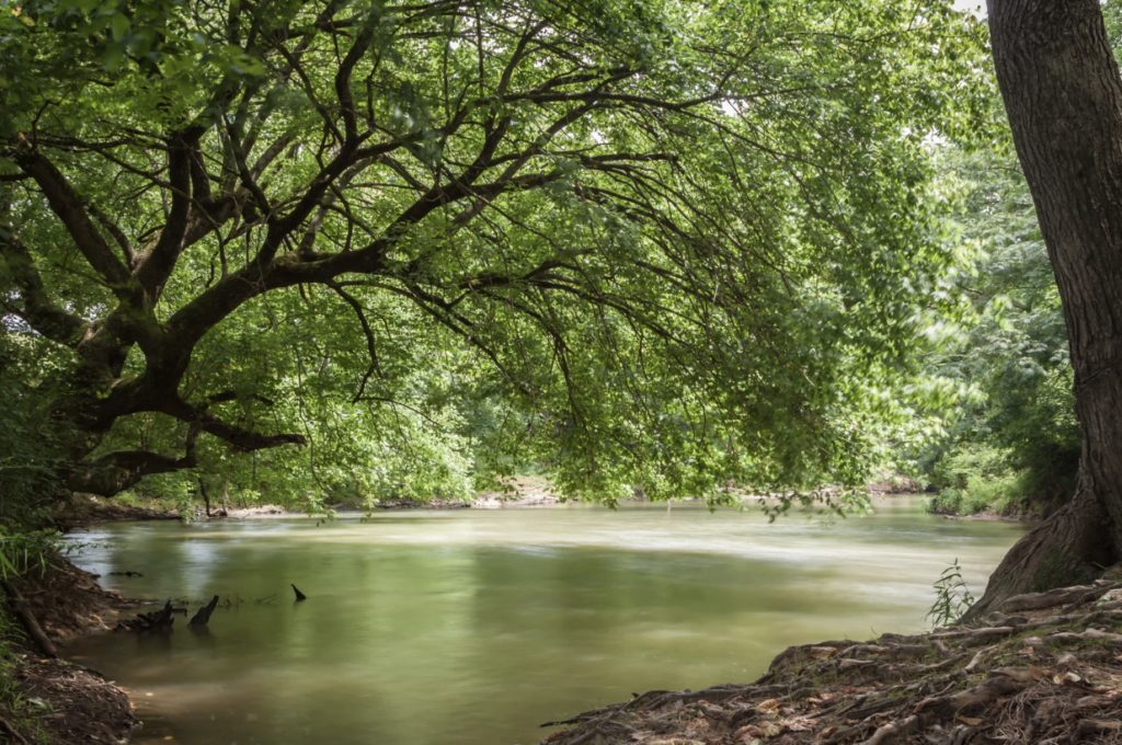 A beautiful, calm creek.